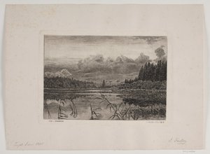 Der See im Tannenwald von Hans Julius Fæster
