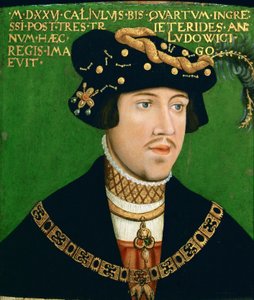 Porträt von Ludwig II., König von Ungarn (1506-1526) von Hans Krell