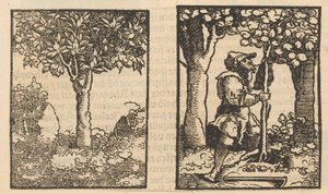 Baum und Darstellung eines Obstpflückers zwischen Bäumen