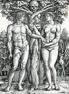 Der Sündenfall von Adam und Eva, c.1525-27
