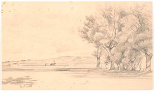 Landschaft mit Ackerland; rechts hohe Bäume