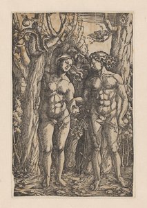 Der Sündenfall von Hans Springinklee