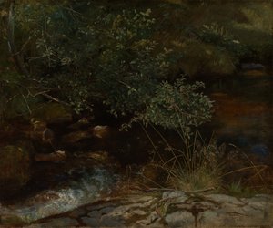 Bachufer mit Gebüsch und Gräsern von Hans Thoma