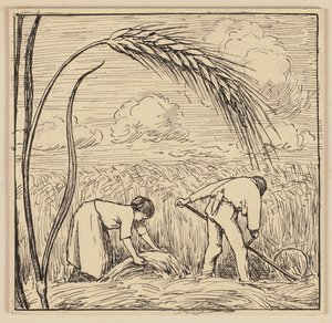Zeichnung für das Lesebuch: Maiskolben von Hans Thoma