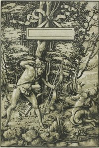 Alcon tötet die Schlange