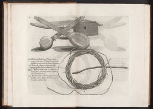 Illustration aus der Reise zur Insel Madeira, Barbados...Vol.2, 1815 von Hans after Sloane