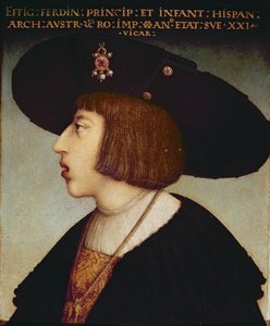 Porträt von Ferdinand I., Heiliger Römischer Kaiser
