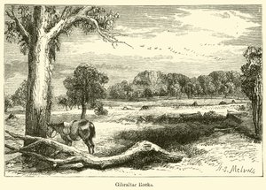 Felsen von Gibraltar (Gravur) von Harden Sidney (after) Melville