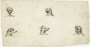 Köpfe von vier Tieren und ein Skelett von Harmen ter Borch