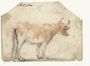 Kuh, von der Seite von Harmen ter Borch
