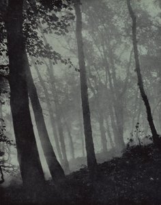 ... gewölbte Wege von Dämmerungshainen und braunen Schatten ... von Kiefer oder monumentaler Eiche, Milton von Harold Burdekin