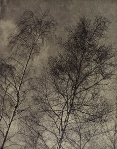 ... ihr Charme ist entlang eines flüssigen Himmels geschrieben, Robert Bridges von Harold Burdekin
