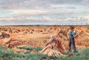 Entlang der Weizenfelder von Manitoba von Harold Copping