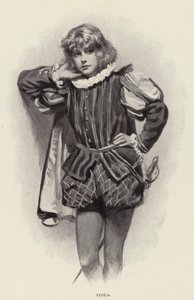 Viola