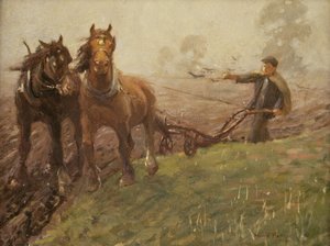 Mann pflügt ein Feld
