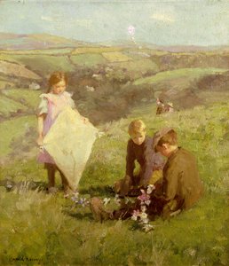 Pioniere der Luftfahrt von Harold Harvey
