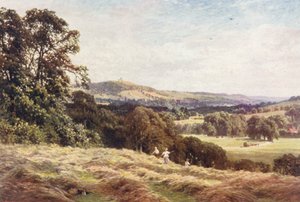 Ein Heufeld, Wonersh von Harold Sutton Palmer