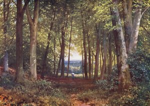 Deer-Leap-Wald, Wotton