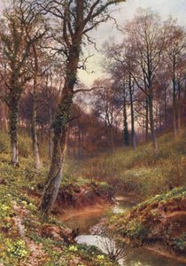 Abendliche Einsamkeit, Ockley