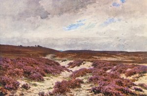 Frensham Common von Harold Sutton Palmer