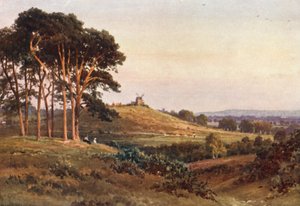 Reigate Heath, Abend von Harold Sutton Palmer