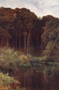 Waldtiefen, Wotton