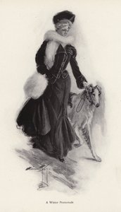 Frau führt ihren rauhaarigen Collie-Hund im Winter spazieren von Harrison Fisher