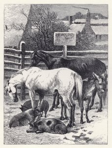 Tiere im Pferch von Harrison William Weir