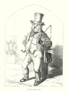 Lustige Hunde: Der wissende Hund von Harrison William Weir