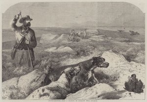 Moorhuhnjagd (Gravur) von Harrison William Weir