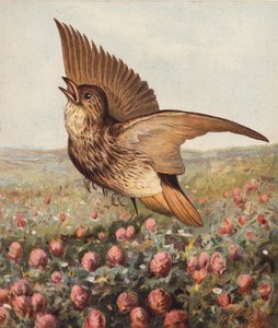 Im Klee von Harrison William Weir