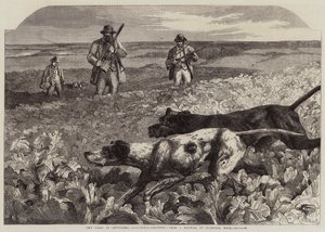 Der Erste September, Rebhuhnjagd (Gravur) von Harrison William Weir
