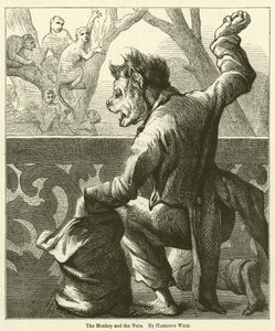 Der Affe und die Nüsse
