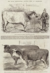 Die Ausstellung der Royal Agricultural Society in Chelmsford von Harrison William Weir