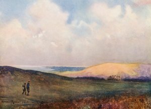 Golfplätze: Southern Down, Blick auf das letzte Grün