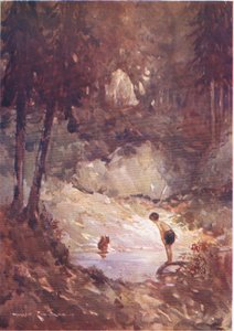 "Du kannst genauso gut jetzt springen," sagte das Eichhörnchen zu Gilbert (aus Der Waldfindling) von Harry Rountree