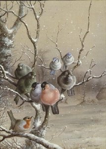 Vögel auf einem verschneiten Ast