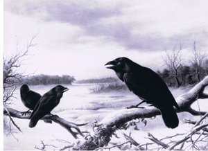 Raben im Winter von Harry Bright