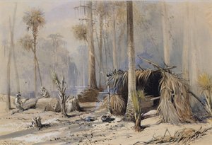 Der Zypressen-Schindelhof, Ocklawaha River, Florida, 1870