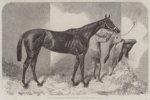 Braune Herzogin, Gewinnerin der Oaks von Harry Hall
