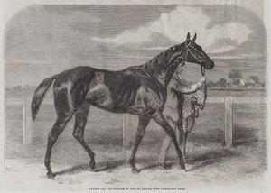 Caller Ou, der Gewinner des St. Leger