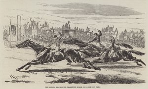 Das entscheidende Rennen für die Cesarewitch Stakes, 1857 von Harry Hall