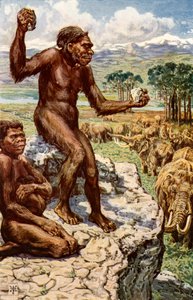 Neandertaler