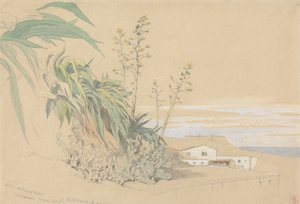Aloen und Feigenkakteen, Tarragona, Spanien