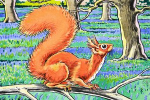 Kleines rotes Eichhörnchen von Harry M. Pettit