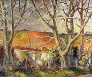 Dorset Kreidebruch