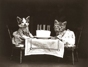 Kätzchen-Serie: Geburtstagsfeier, ca. 1914 von Harry Whittier Frees