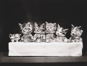 Kitties Serie: Das letzte Abendmahl, um 1914 von Harry Whittier Frees