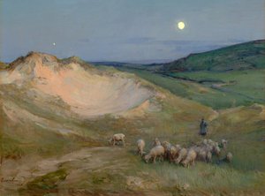 Abend auf den Dünen