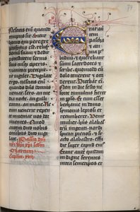 Evangelienbuch mit Evangelistenporträts: Verzierte Initiale